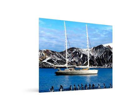 Damoy Point Expedition - Uma Aventura Na Antartica