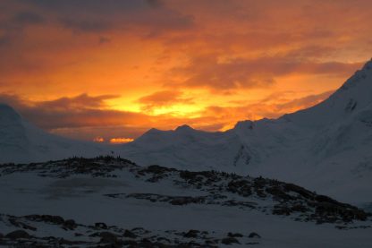 Damoy Point Expedition - Uma Aventura Na Antartica - Image 4